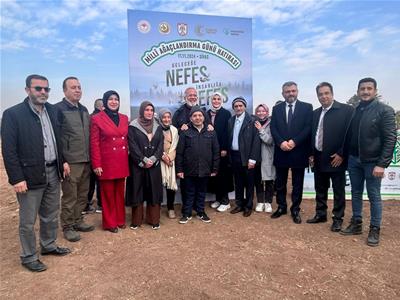 11 Kasım Milli Ağaçlandırma Günü 
